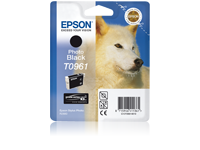 Epson_Inks